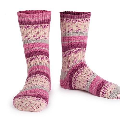 sock yarn h2149 | интернет-магазин Елена-Рукоделие