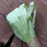 фото рафия натур. лента салатовый