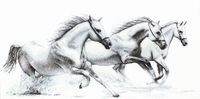 g495 белые лошади | интернет-магазин Елена-Рукоделие
