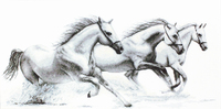 b495 белые лошади | интернет-магазин Елена-Рукоделие