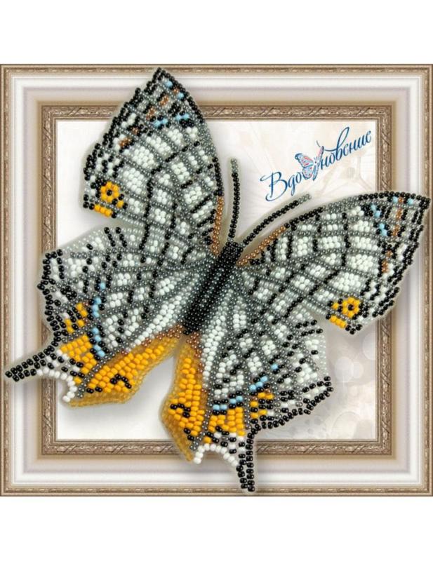 BGP-039 Набір для вишивання бісером на прозорій основі "3D Метелик Цирестис Нивея" | інтернет-магазин 'Елена-Рукоделие'