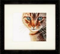 PN-0021220 Набір для вишивки хрестом LanArte Cat Close-up "Кіт поблизу" | інтернет-магазин 'Елена-Рукоделие'