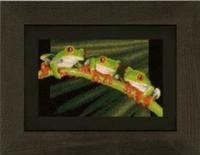 pn-0146866 набор для вышивки крестом vervaco red-eyed tree frog "древесные лягушки" | интернет-магазин Елена-Рукоделие