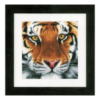 PN-0156104 Набір для вишивки хрестом LanArte Tiger "Тигр" | інтернет-магазин 'Елена-Рукоделие'