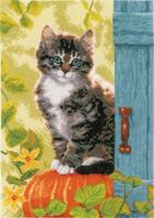 PN-0158303 Набір для вишивання хрестом Vervaco Cat &amp; Pumpkin "Кіт та гарбуз" | інтернет-магазин 'Елена-Рукоделие'