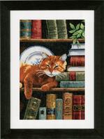 pn-0158440 набор для вышивки крестом vervaco cat on bookshelf "кот на книжной полке" | интернет-магазин Елена-Рукоделие