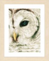 PN-0163781 Набір для вишивки хрестом LanArte Snowowl "Сніжна сова" | інтернет-магазин 'Елена-Рукоделие'