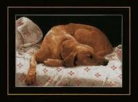 pn-0164050 набор для вышивки крестом lanarte sleeping dog "спящий пес" | интернет-магазин Елена-Рукоделие