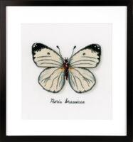 pn-0165233 набор для вышивки крестом vervaco white butterfly "белая бабочка" | интернет-магазин Елена-Рукоделие