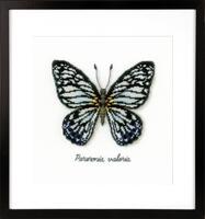 фото pn-0165403 набор для вышивки крестом vervaco blue butterfly "голубая бабочка"