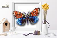 б-106 набор для вышивки бисером на прозрачной основе "3-d бабочка erasmia" | интернет-магазин Елена-Рукоделие