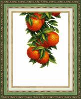фото вт-138 набор для вышивания крестом crystal art "солнечные апельсины"