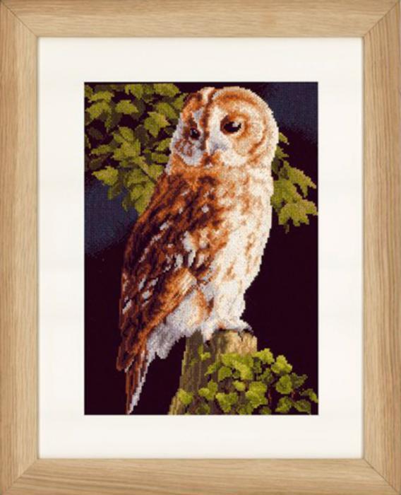PN-0146814 Набір для вишивки хрестом LanArte Owl "Сова" | інтернет-магазин 'Елена-Рукоделие'