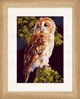 PN-0146814 Набір для вишивки хрестом LanArte Owl "Сова" | інтернет-магазин 'Елена-Рукоделие'