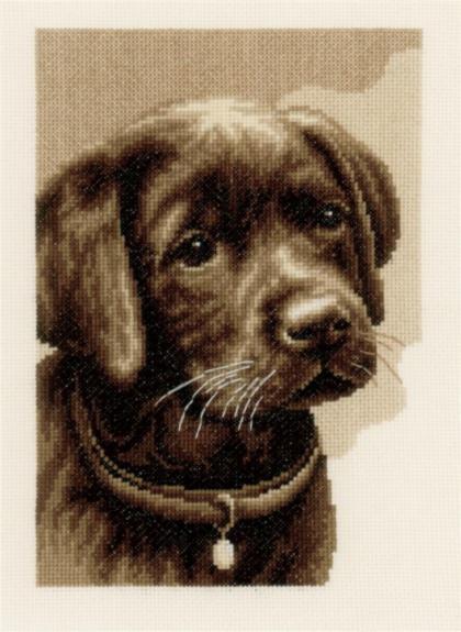 PN-0158080 Набір для вишивки хрестом Vervaco Labrador Puppy "Цуценя Лабрадора" | інтернет-магазин 'Елена-Рукоделие'