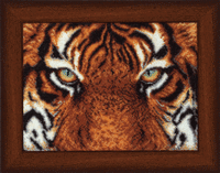 фото набор для вышивки бисером чарівна мить б-055 "тигр"