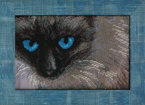 Набір для вишивання бісером Чарівна Мить Б-696 "Сіамський кіт" | інтернет-магазин 'Елена-Рукоделие'
