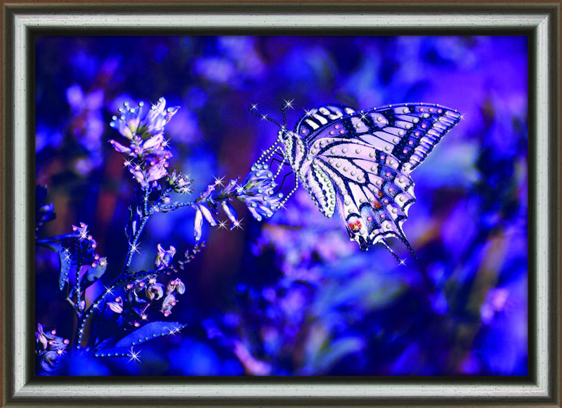 Набір картина стразами Crystal Art КС-1017 "Ніжний метелик" | інтернет-магазин 'Елена-Рукоделие'