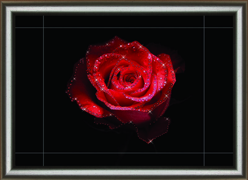 Набір картина стразами Crystal Art КС-1030 "Квіткова пристрасть" | інтернет-магазин 'Елена-Рукоделие'