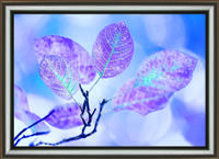 Набір картина стразами Crystal Art КС-1045 "Бузковий ранок" | інтернет-магазин 'Елена-Рукоделие'