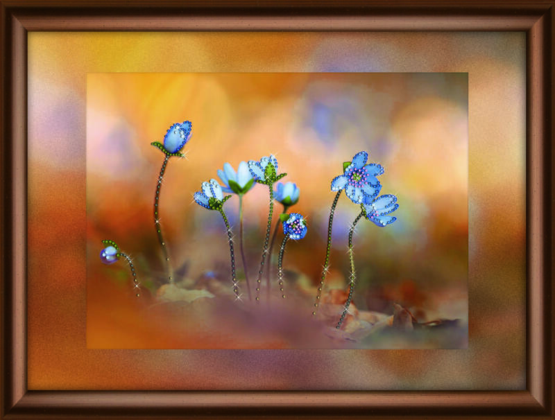 Набір картина стразами Crystal Art КС-1069 "Лісові квіти" | інтернет-магазин 'Елена-Рукоделие'