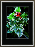 фото набор картина стразами crystal art кс-1076 "зимние ягоды"