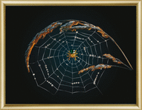 фото Набір картина стразами Чарівна Мить КС-002 "Знак зодіаку Павук"