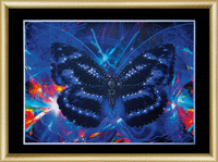 Набір картина стразами Чарівна Мить КС-171 "Нічний метелик" | інтернет-магазин 'Елена-Рукоделие'