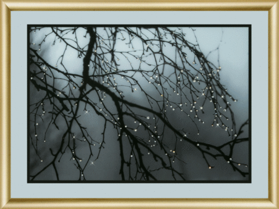 Набір картина стразами Чарівна Мить КС-172 "Після дощу" | інтернет-магазин 'Елена-Рукоделие'