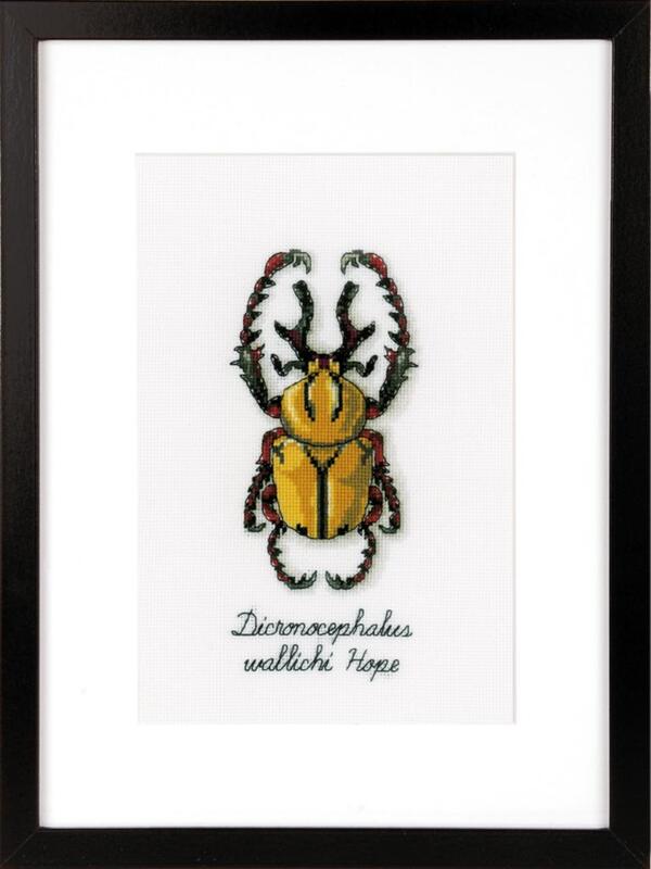 pn-0165220 набор для вышивки крестом vervaco golden beetle "золотой жук" | интернет-магазин Елена-Рукоделие