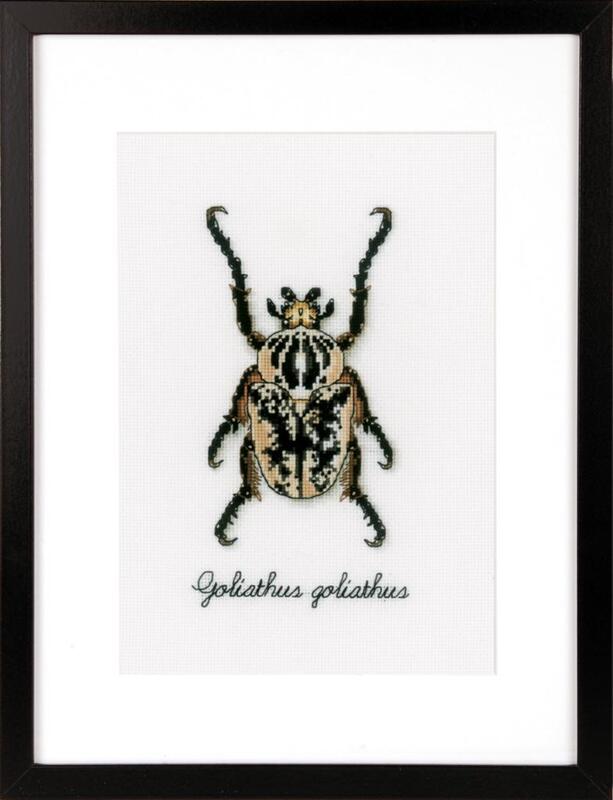 pn-0165400 набор для вышивки крестом vervaco beige beetle "бежевый жук" | интернет-магазин Елена-Рукоделие