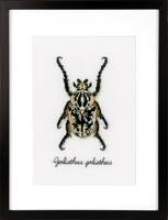 pn-0165400 набор для вышивки крестом vervaco beige beetle "бежевый жук" | интернет-магазин Елена-Рукоделие
