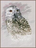 PN-0183826 Набір для вишивання хрестом LanArte Snowy Owl "Полярна сова" | інтернет-магазин 'Елена-Рукоделие'