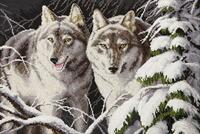 фото Набір для вишивання хрестиком Чарівна Мить М-367  "Вовки у зимовому місячному сяйвi"