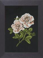 pn-0008337 набор для вышивки розы на черном, 20х28, аида 14, счетный крест lanarte | интернет-магазин Елена-Рукоделие