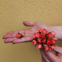 искусственные цветы. крокус коралловый | интернет-магазин Елена-Рукоделие