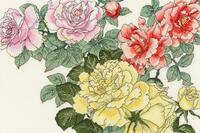 фото xbd13 набор для вышивания крестом rose blooms "роза цветет" bothy threads