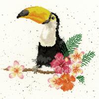 фото xhd21 набор для вышивания крестом toucan "тукан" bothy threads