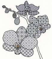 фото XBW2 Набір для вишивання хрестом Blackwork Orchid "Орхідея" Bothy Threads