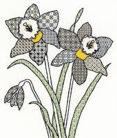 фото XBW7 Набір для вишивання хрестом Blackwork Daffodil "Нарцис" Bothy Threads 